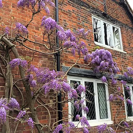 The Old Farmhouse-3